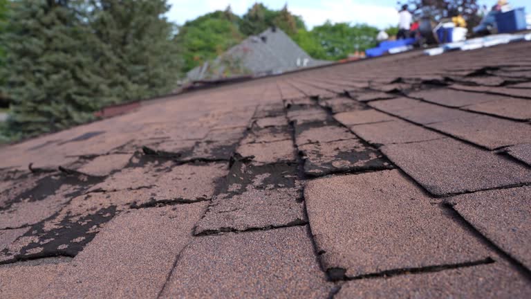 Best Roof Moss and Algae Removal  in Pomeroy, WA